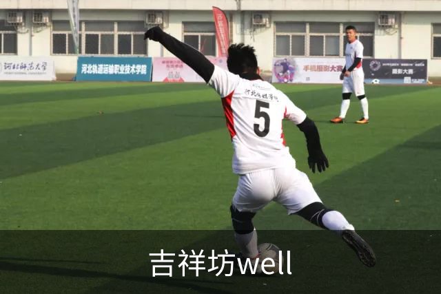 吉祥坊well公司介绍